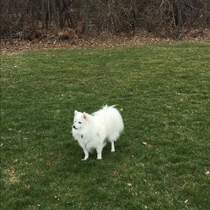 Meet your Posher, Ruby